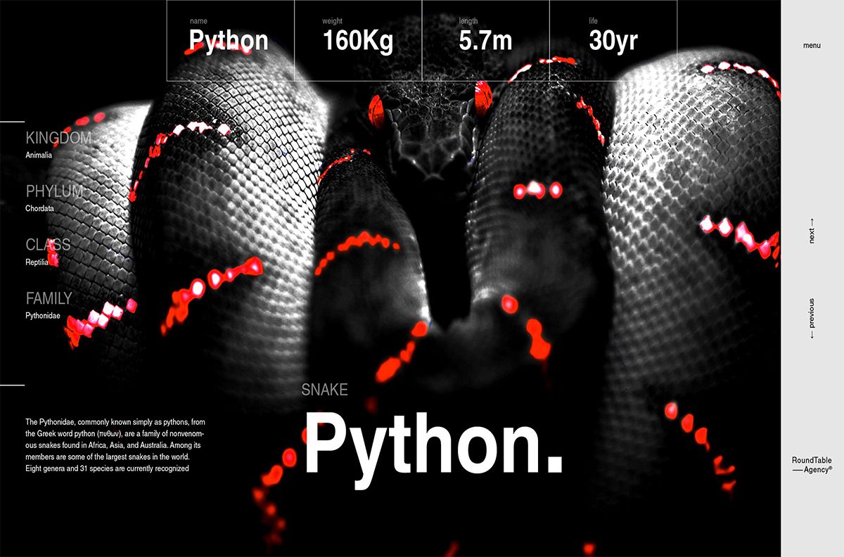 mini web snake python