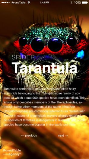 mini web spider tarantula mobile